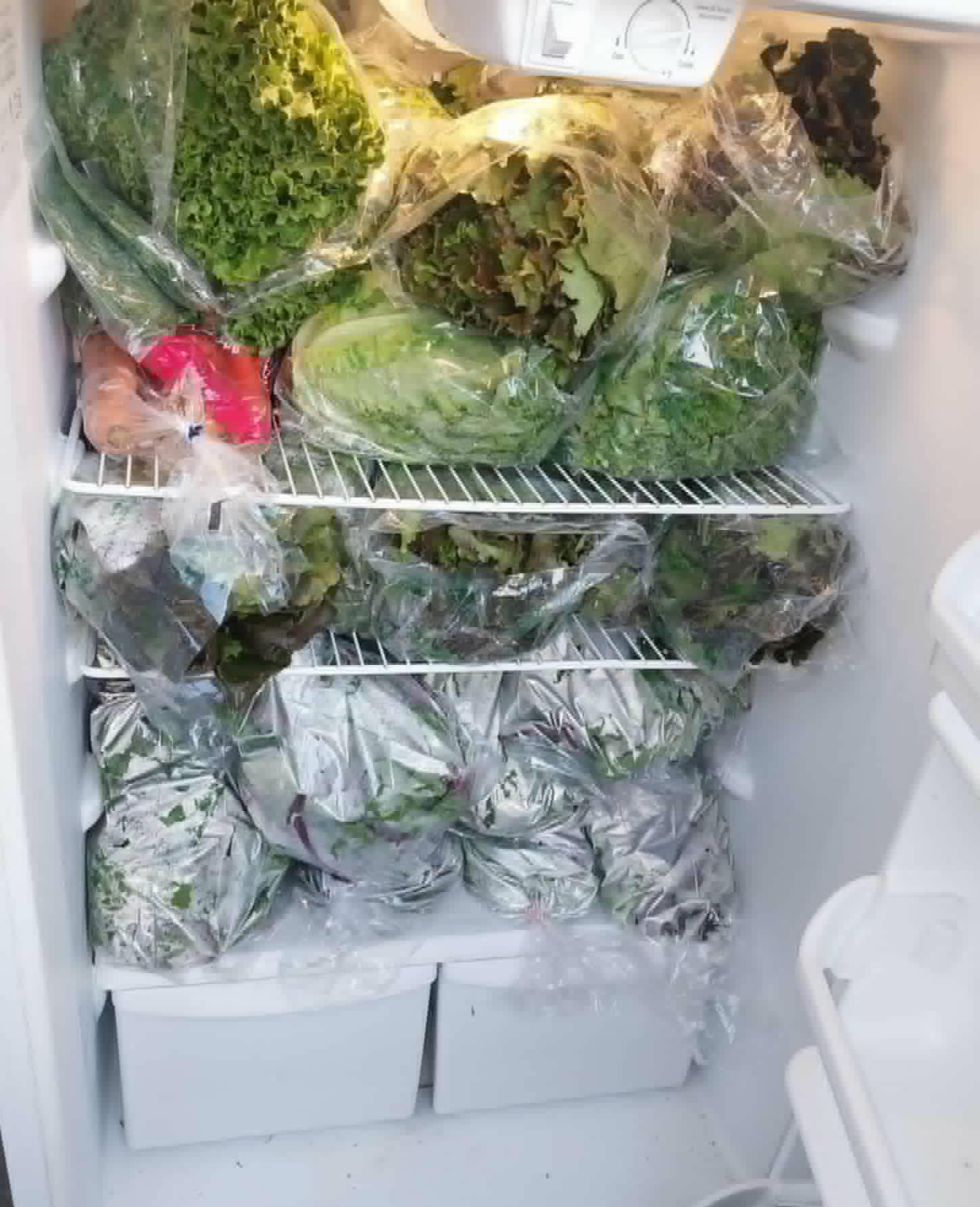 A refrigerator on the Community Porch in Hoosick Falls NY filled with bagged fresh lettuce and greens