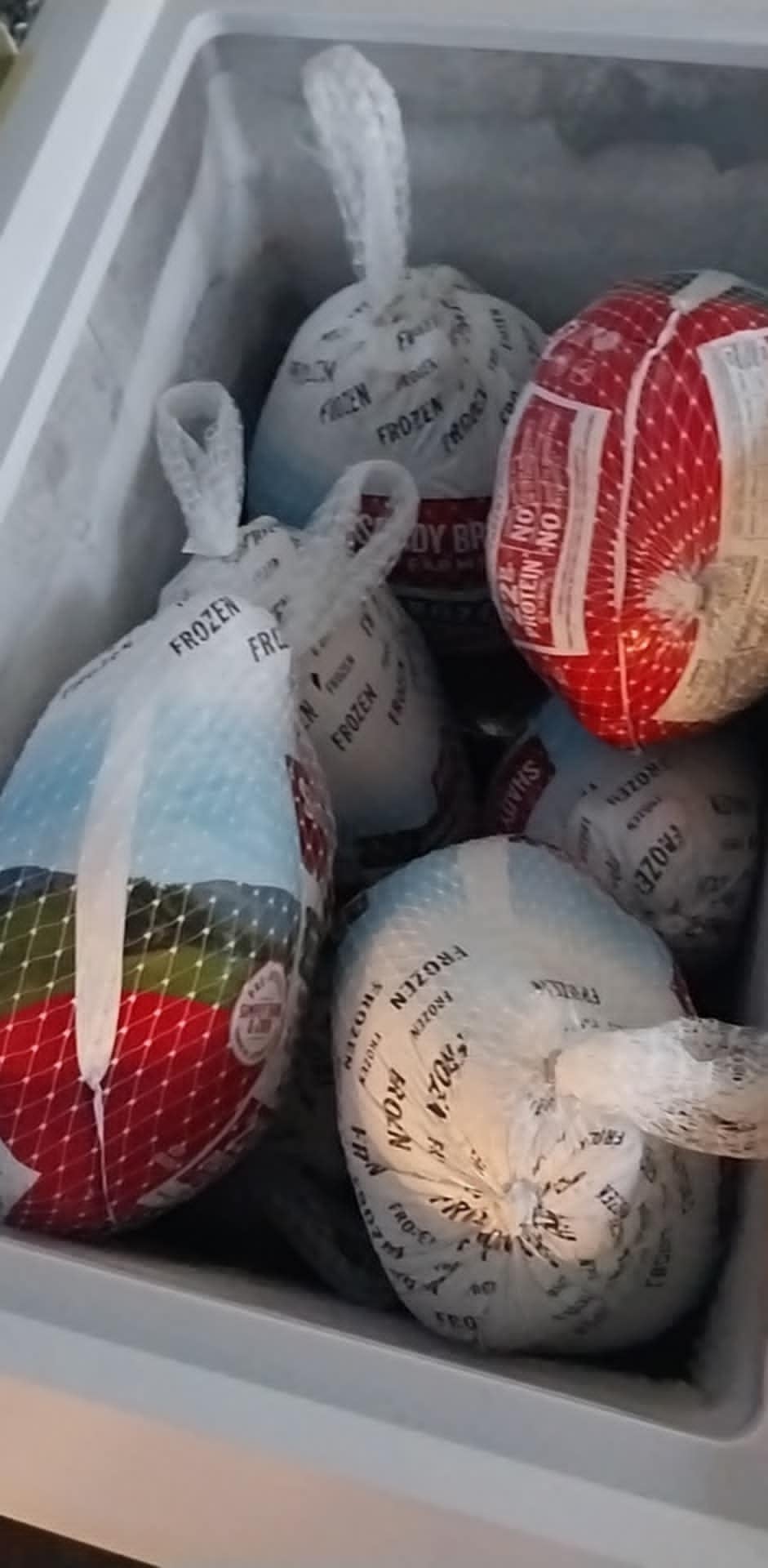 A chest freezer stocked with frozen turkeys for the Community Porch in Hoosick Falls NY