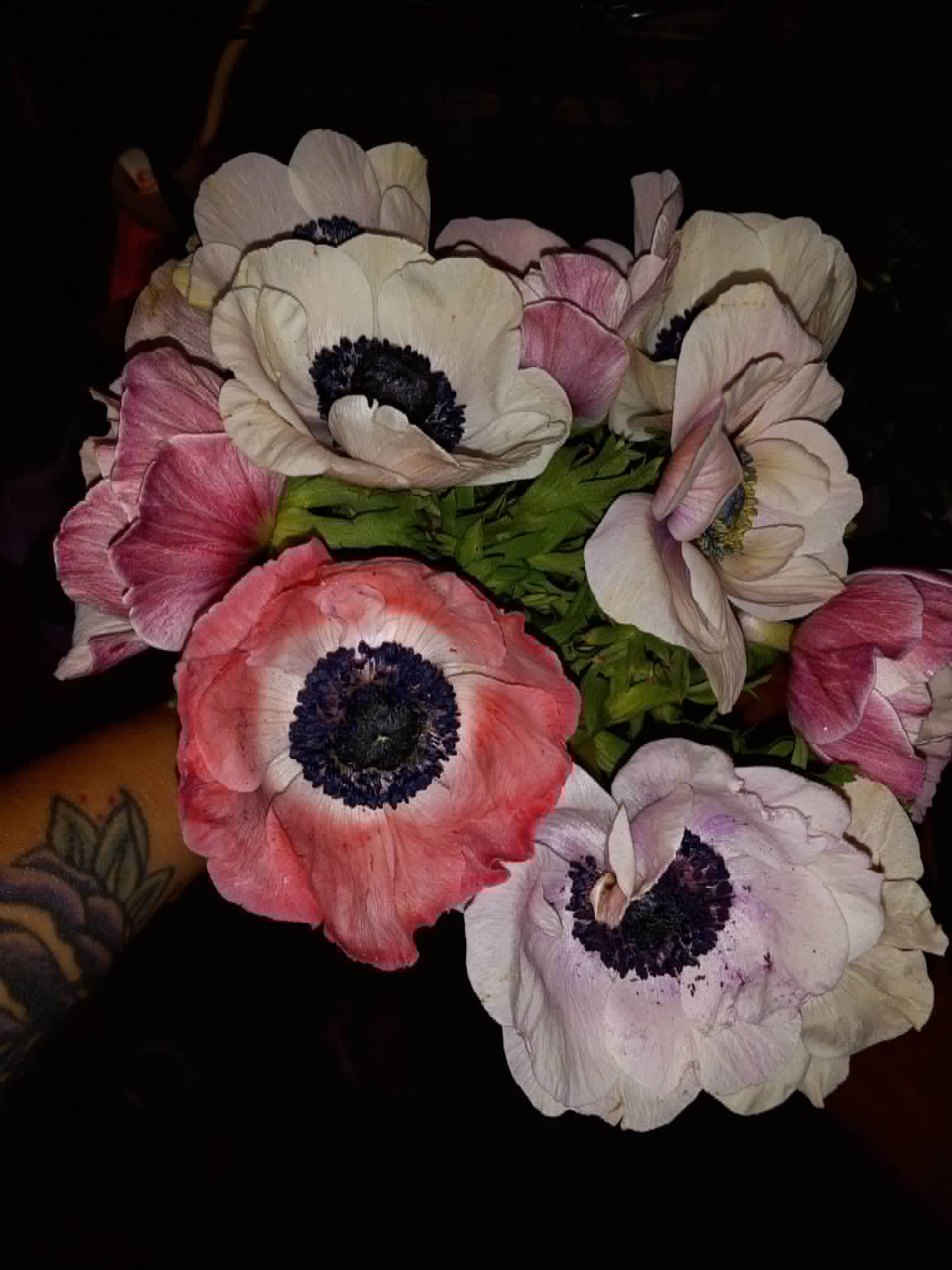 A bouquet of fresh anemones grown for the Community Porch in Hoosick Falls NY