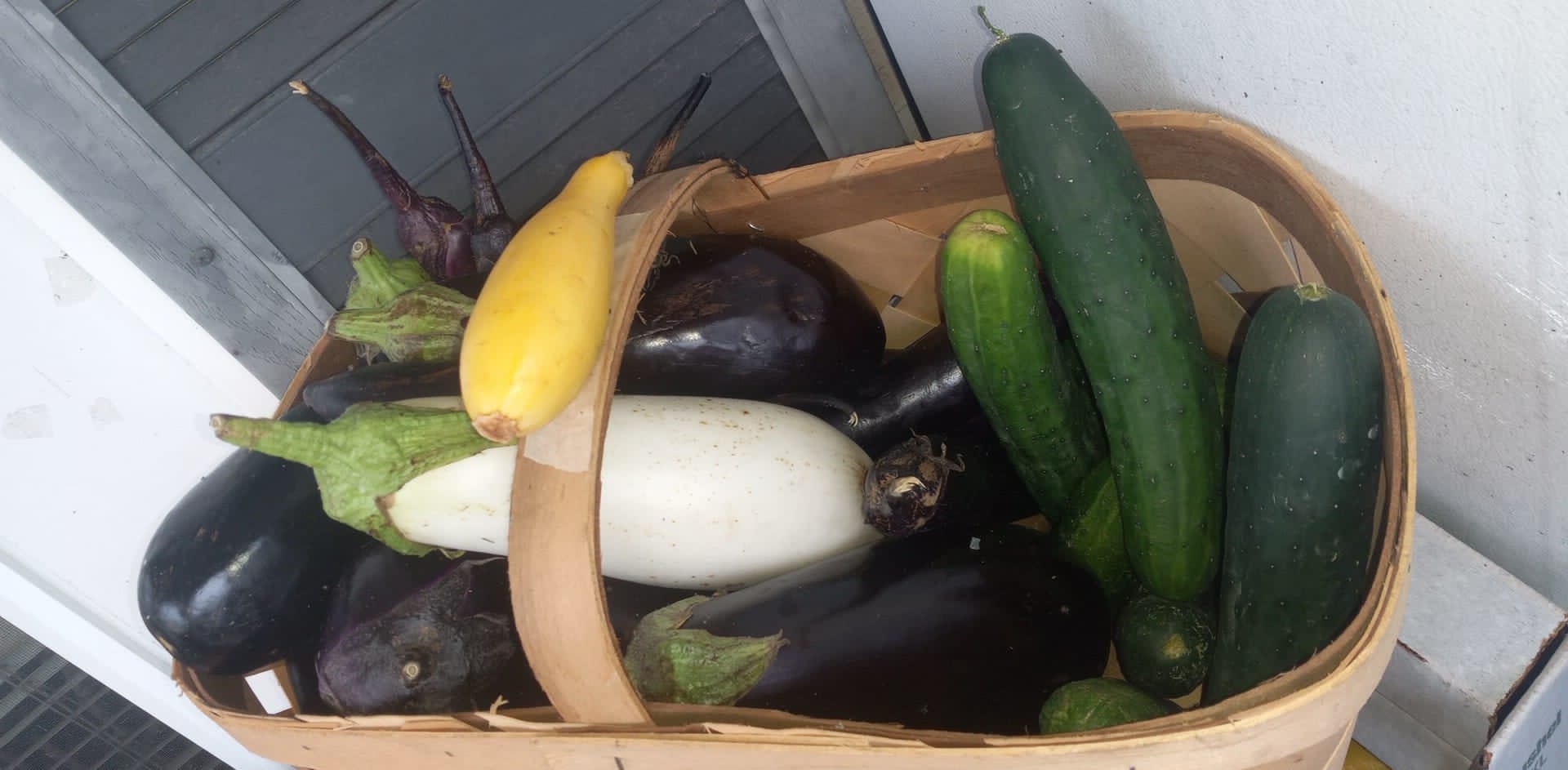 A basket of fresh eggplant, squash, and cucumbers on the Community Porch in Hoosick Falls NY