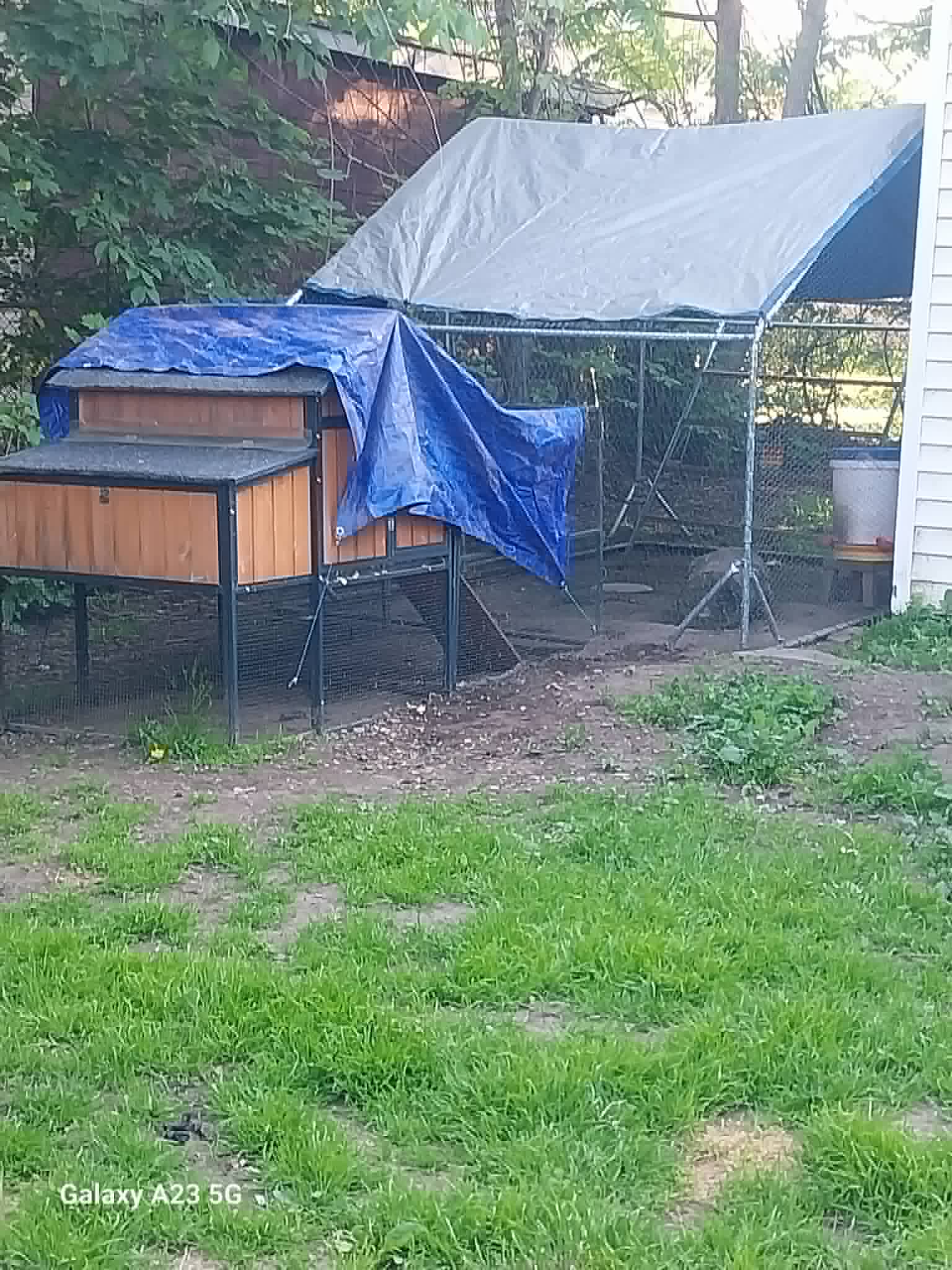 The backyard chicken coop that keeps the Community Porch in Hoosick Falls NY stocked with fresh eggs