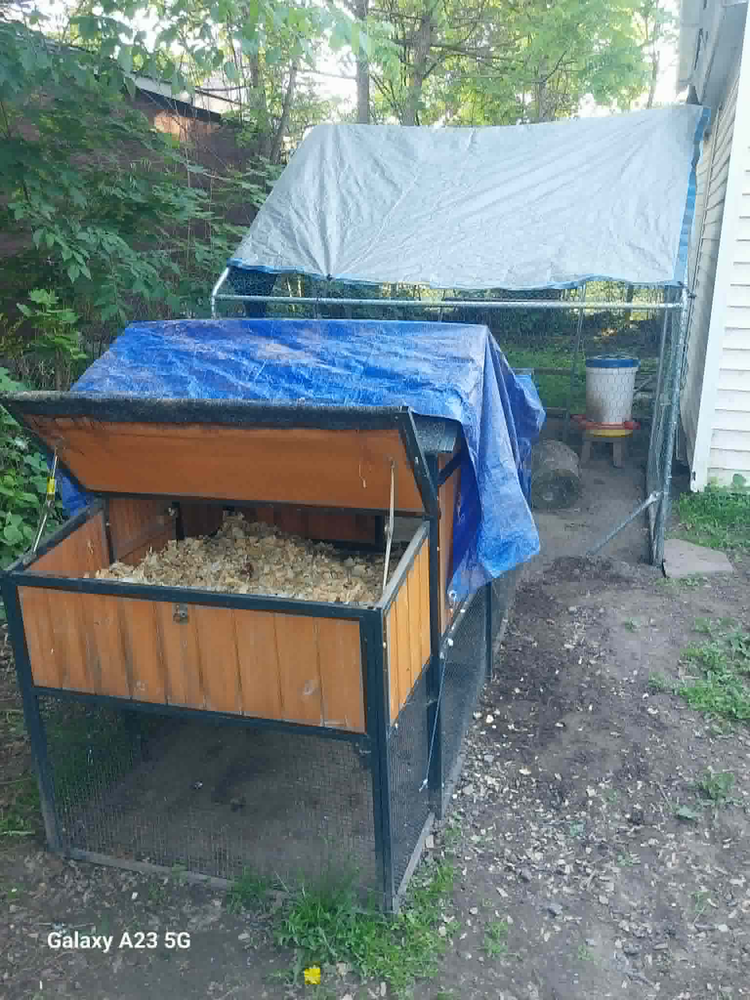 The backyard chicken coop, opened to show fresh bedding, behind the Community Porch in Hoosick Falls NY