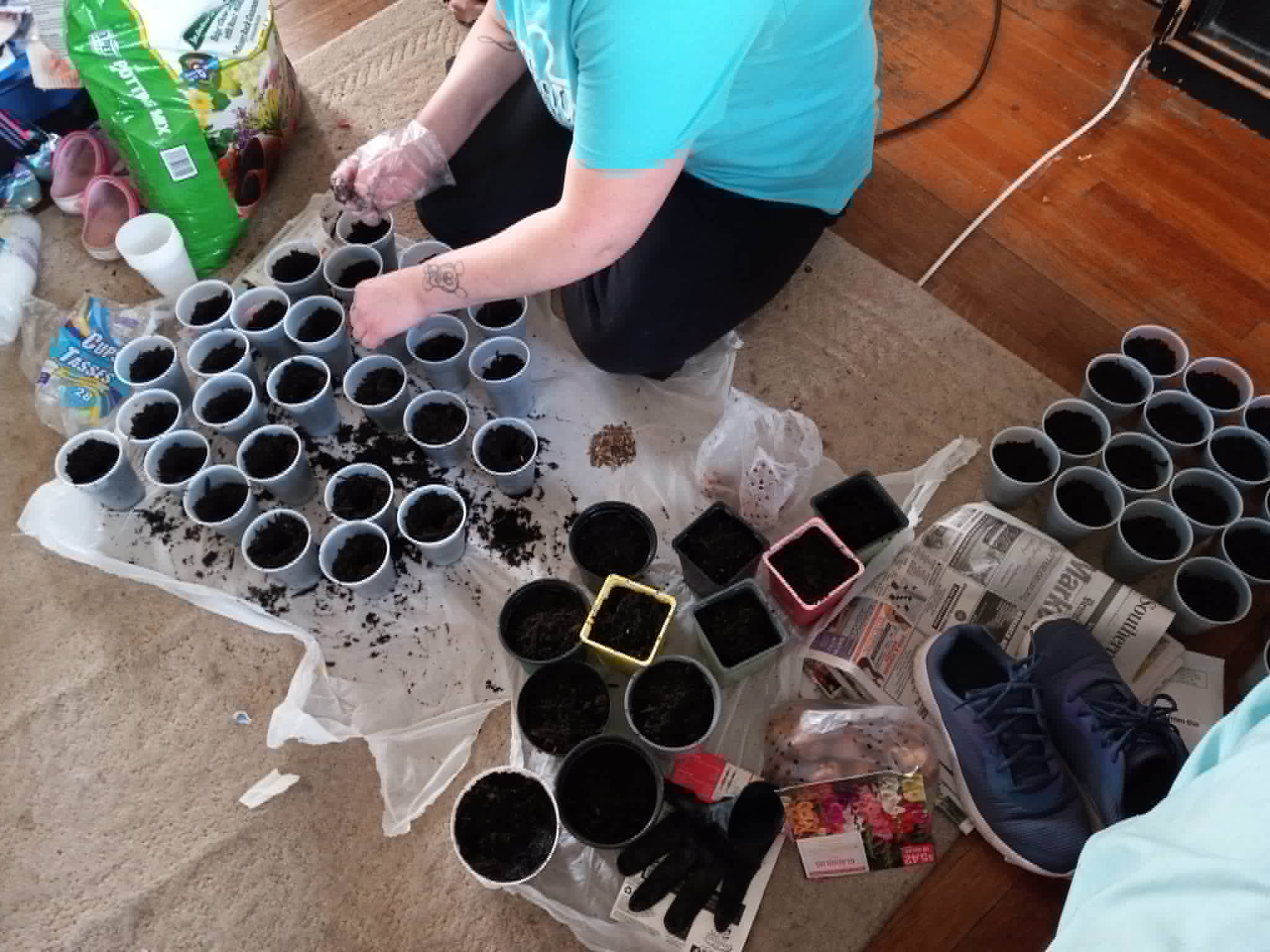 Potting up dozens of seedling cups for the Community Porch Grow and Share program in Hoosick Falls NY
