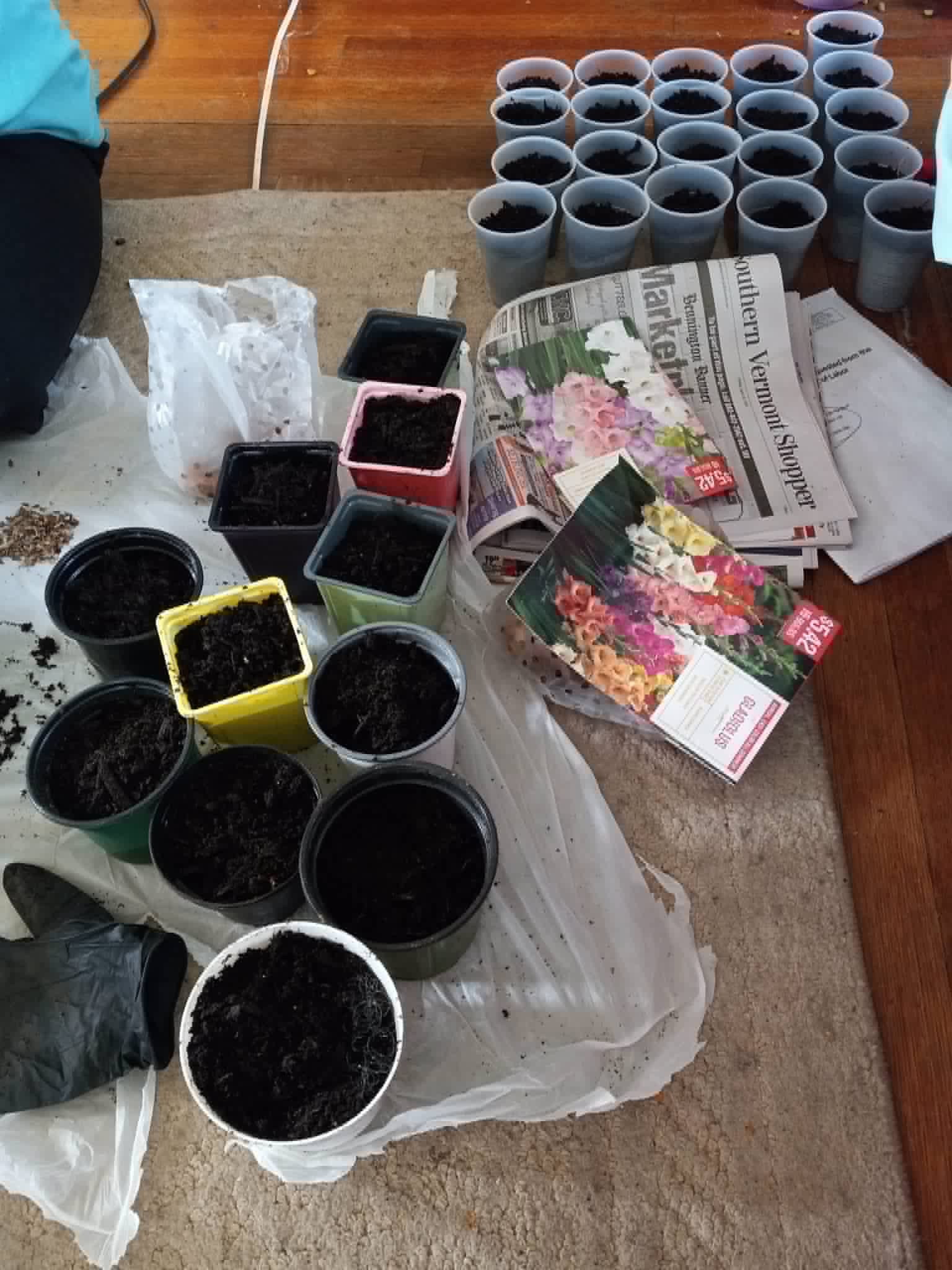 Pots of soil prepared for planting for the Community Porch Grow and Share program in Hoosick Falls NY