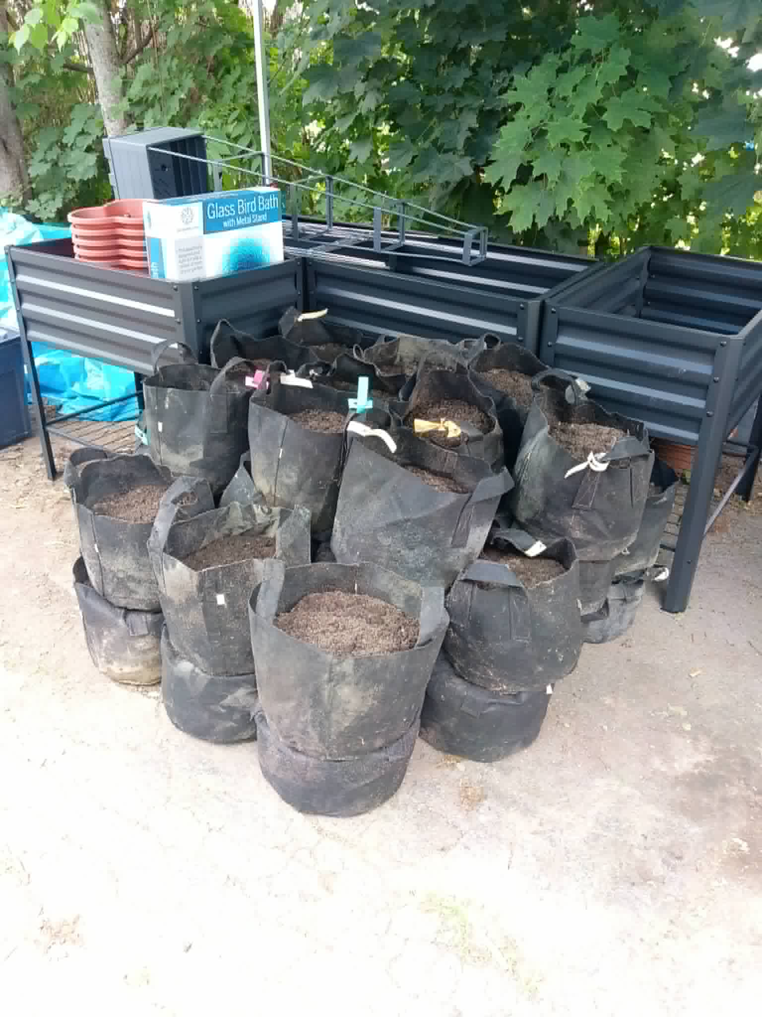 Fabric grow bags filled with soil beside new raised beds for the Community Porch Grow and Share program in Hoosick Falls NY
